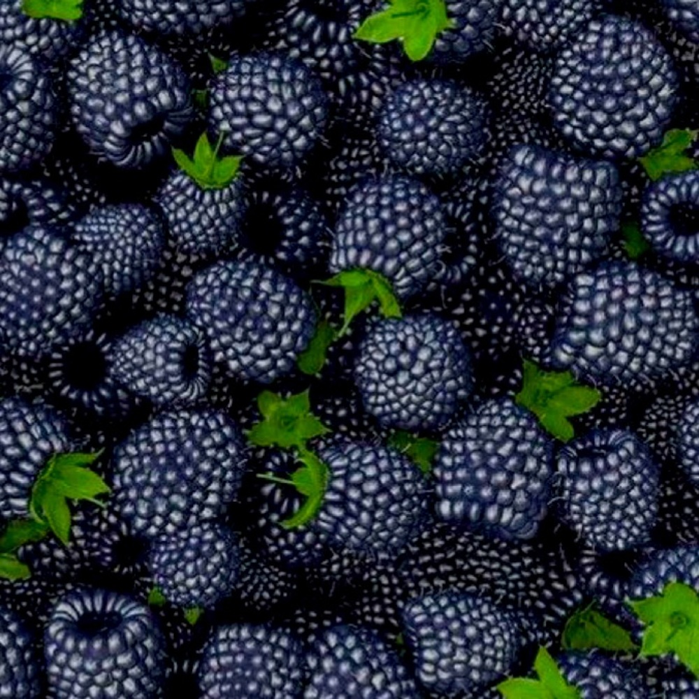 Meet your Posher, Posh